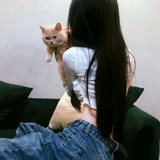 《呆呆精灵与女巫城堡》封面